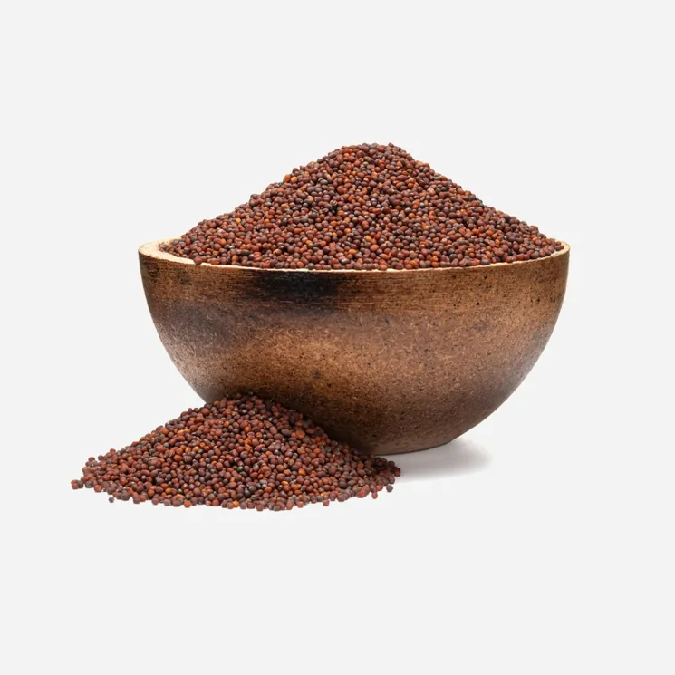 Brokolice BIO semínka na klíčení