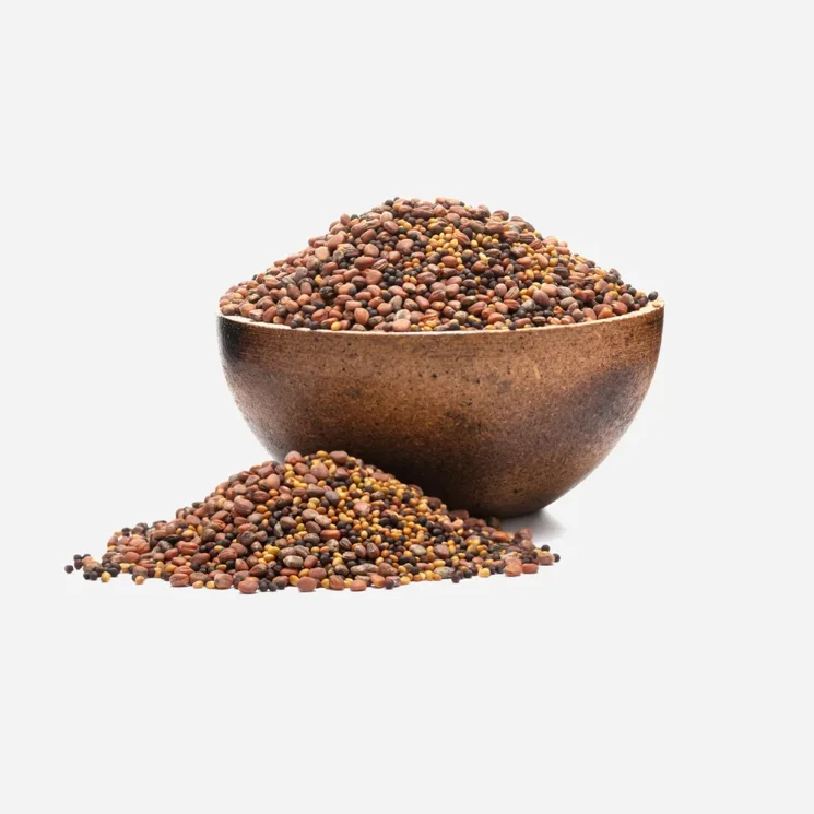 Brokolice, ředkev, jetel BIO mix semínek na klíčení