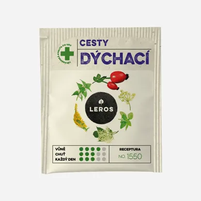 Cesty dýchací