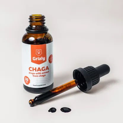 Chaga