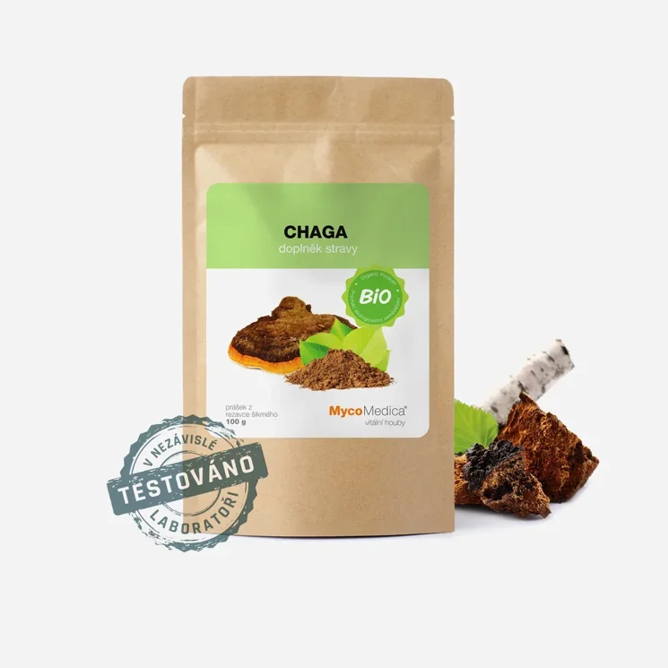 Chaga prášek BIO
