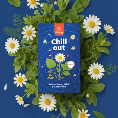 Chill out BIO bylinný čaj 6 x 20 ks