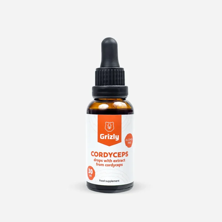 Cordyceps