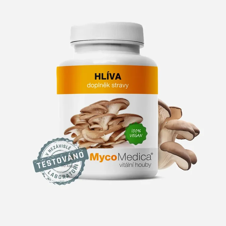 Hlíva 90 tablet 6 x 90 tablet