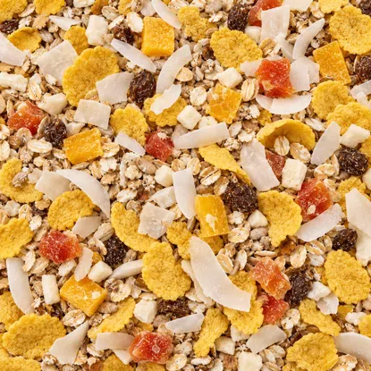 Müsli sypané mango & kokos