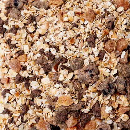 Ovesné kaše hořká čokoláda & lískové ořechy 6 x 600 g
