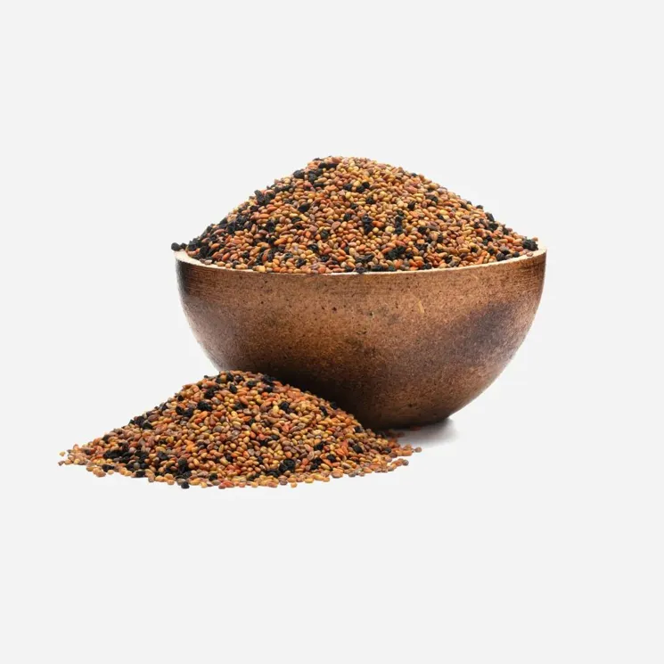 semínka na klíčení Mix Allegro BIO