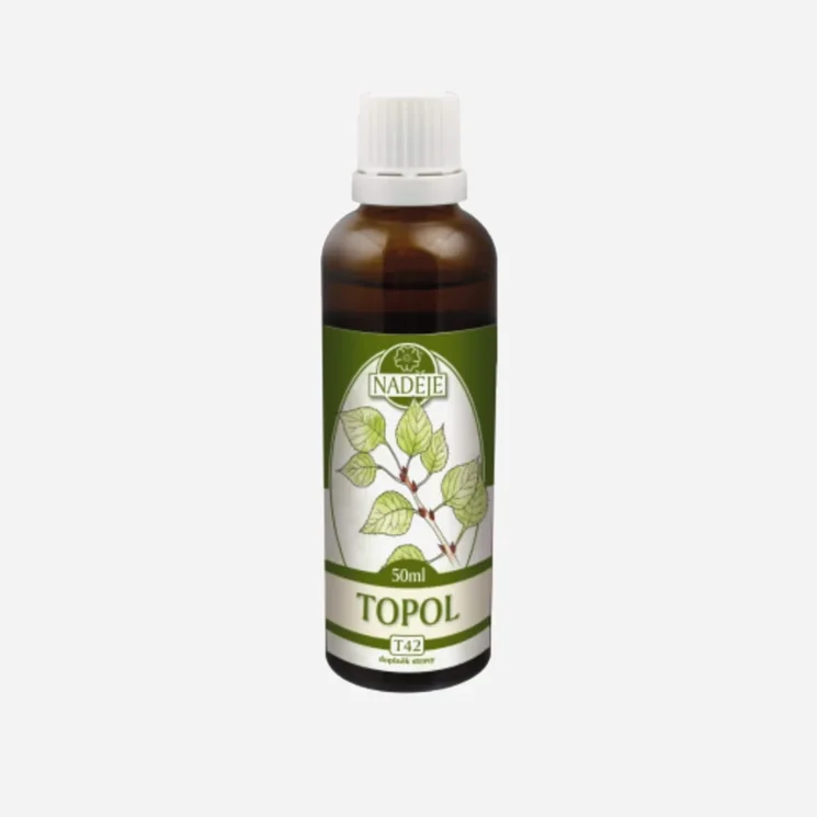 Topol tinktura z byliny